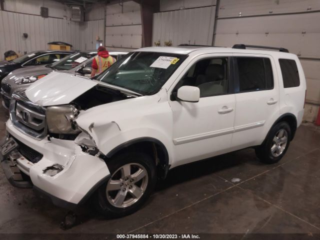 Photo 1 VIN: 5FNYF4H5XAB011051 - HONDA PILOT 