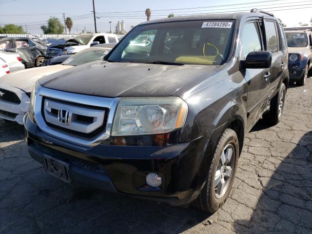 Photo 1 VIN: 5FNYF4H5XBB008751 - HONDA PILOT EXL 