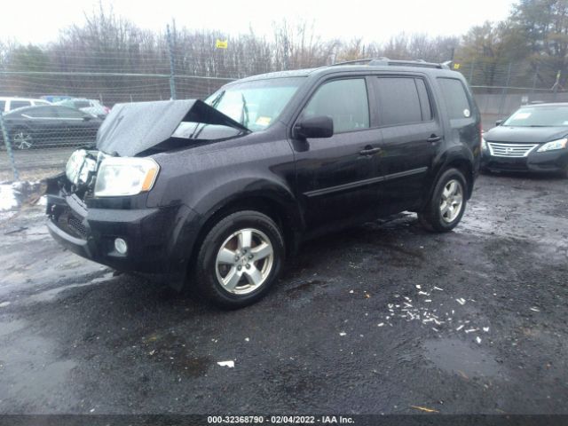 Photo 1 VIN: 5FNYF4H5XBB052281 - HONDA PILOT 