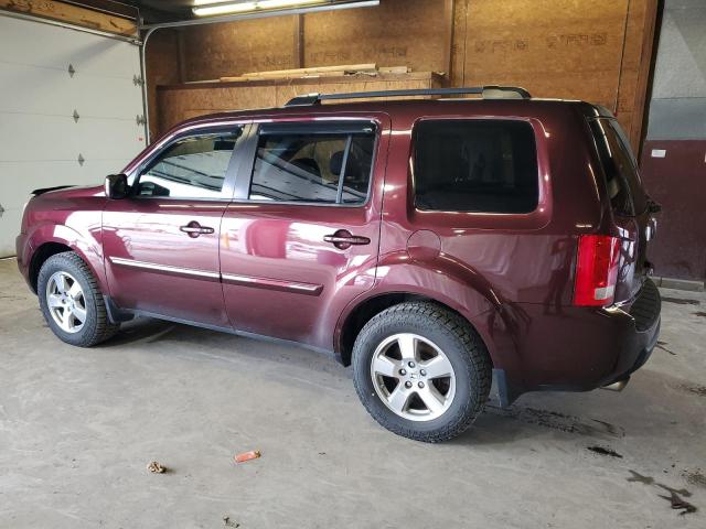 Photo 1 VIN: 5FNYF4H5XBB061644 - HONDA PILOT 