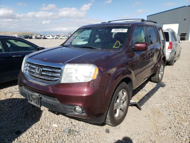 Photo 1 VIN: 5FNYF4H5XFB020484 - HONDA PILOT EXL 