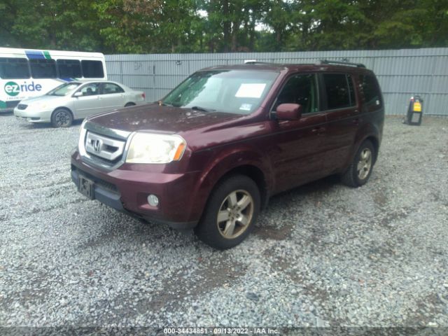 Photo 1 VIN: 5FNYF4H60AB020432 - HONDA PILOT 