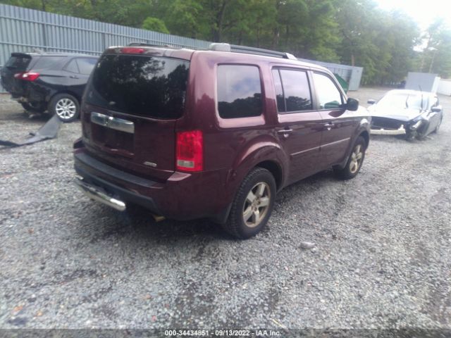 Photo 3 VIN: 5FNYF4H60AB020432 - HONDA PILOT 