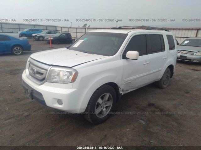 Photo 1 VIN: 5FNYF4H60AB022049 - HONDA PILOT 