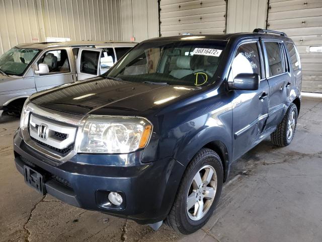 Photo 1 VIN: 5FNYF4H61AB030239 - HONDA PILOT EXL 