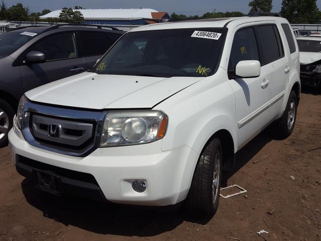 Photo 1 VIN: 5FNYF4H63AB024166 - HONDA PILOT EXL 