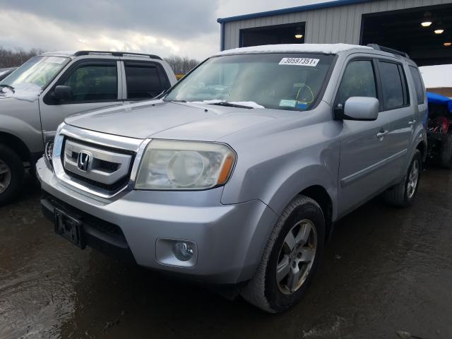 Photo 1 VIN: 5FNYF4H64BB045853 - HONDA PILOT EXL 