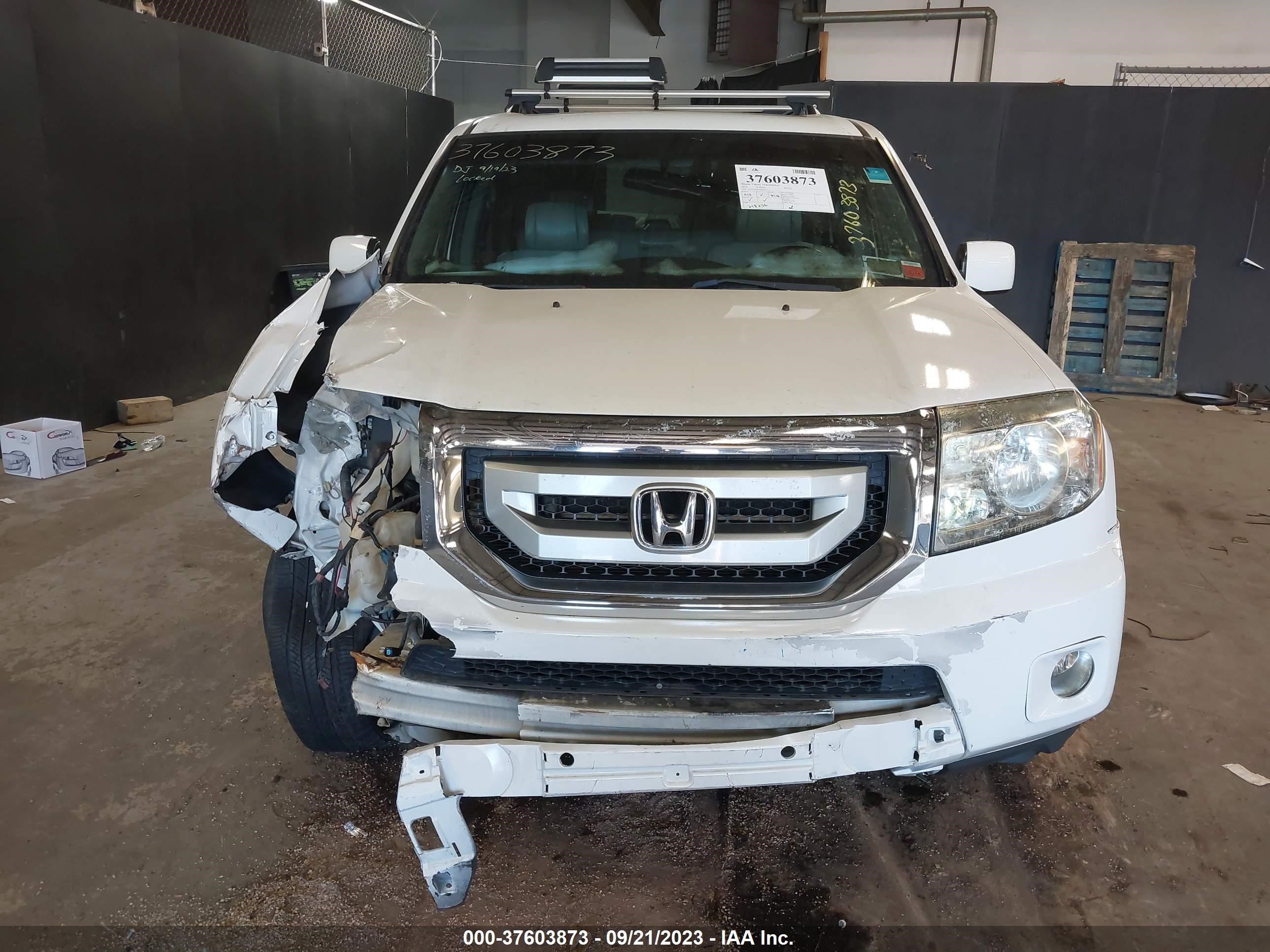 Photo 11 VIN: 5FNYF4H65AB024167 - HONDA PILOT 