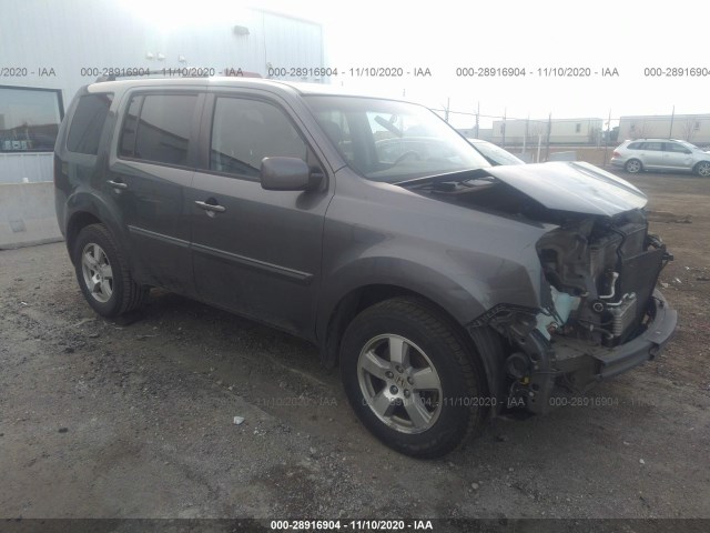 Photo 0 VIN: 5FNYF4H65BB101718 - HONDA PILOT 