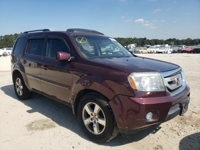 Photo 0 VIN: 5FNYF4H66AB013467 - HONDA PILOT EXL 