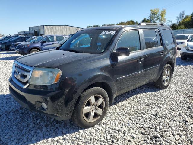 Photo 0 VIN: 5FNYF4H66BB021537 - HONDA PILOT EXL 