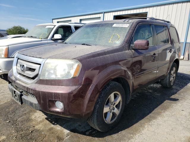 Photo 1 VIN: 5FNYF4H66BB040914 - HONDA PILOT EXL 