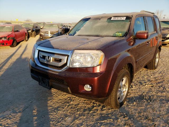 Photo 1 VIN: 5FNYF4H67BB081035 - HONDA PILOT EXL 