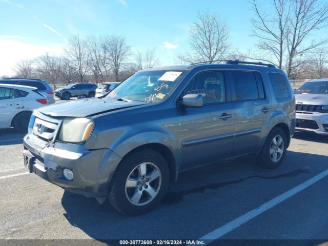 Photo 1 VIN: 5FNYF4H69AB038234 - HONDA PILOT 