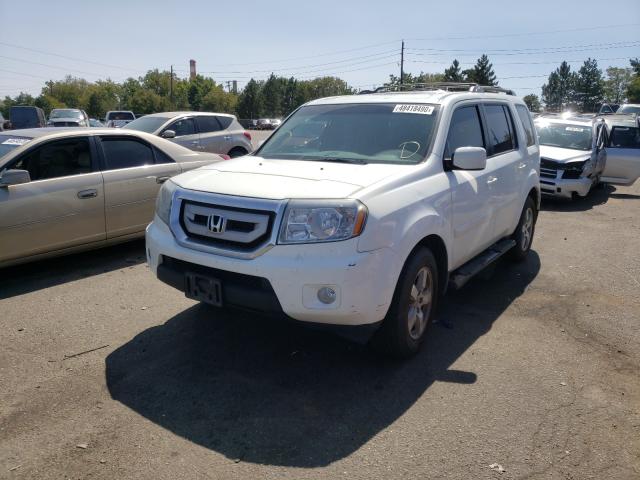 Photo 1 VIN: 5FNYF4H69BB084762 - HONDA PILOT 