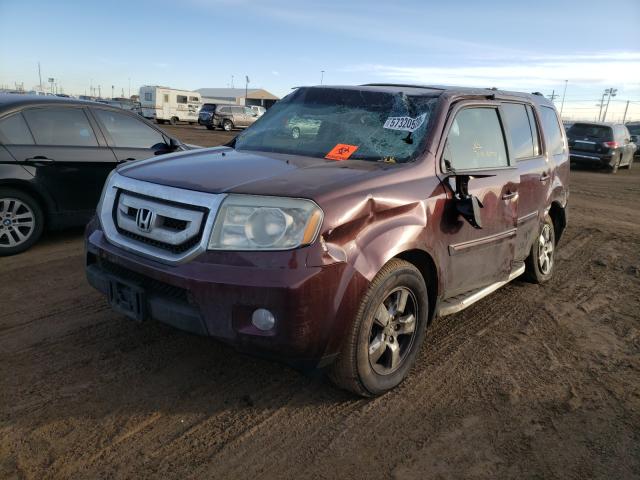 Photo 1 VIN: 5FNYF4H70BB033160 - HONDA PILOT EXLN 