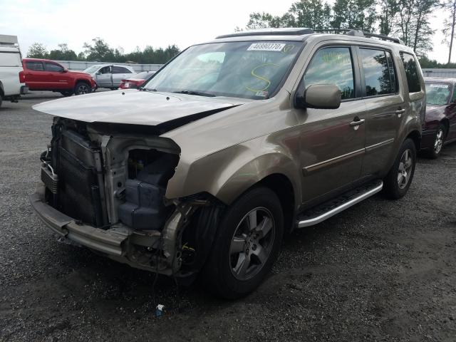 Photo 1 VIN: 5FNYF4H75BB065666 - HONDA PILOT EXLN 