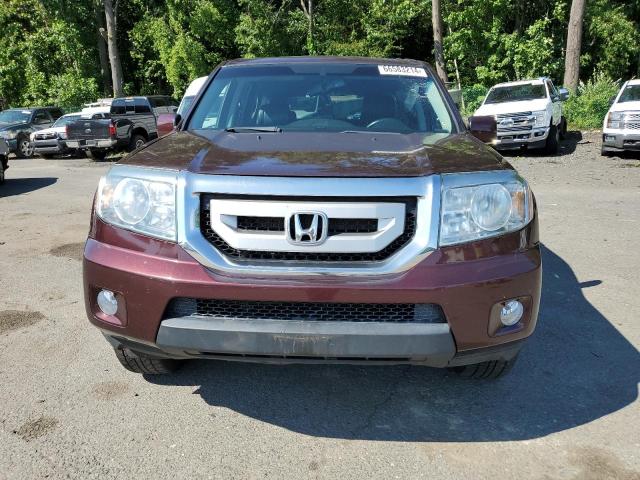 Photo 4 VIN: 5FNYF4H76BB071928 - HONDA PILOT EXLN 