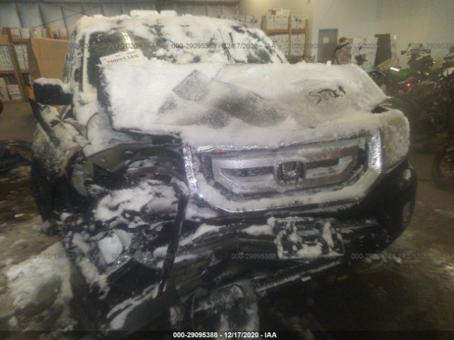 Photo 5 VIN: 5FNYF4H77BB010474 - HONDA PILOT 