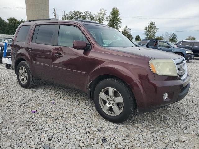 Photo 3 VIN: 5FNYF4H77BB026349 - HONDA PILOT EXLN 