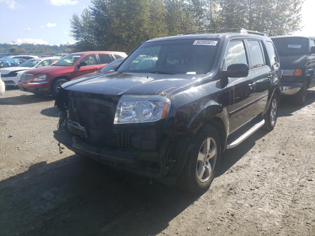 Photo 1 VIN: 5FNYF4H79BB010363 - HONDA PILOT EXLN 