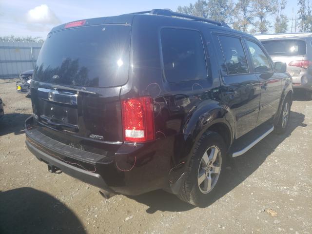 Photo 3 VIN: 5FNYF4H79BB010363 - HONDA PILOT EXLN 