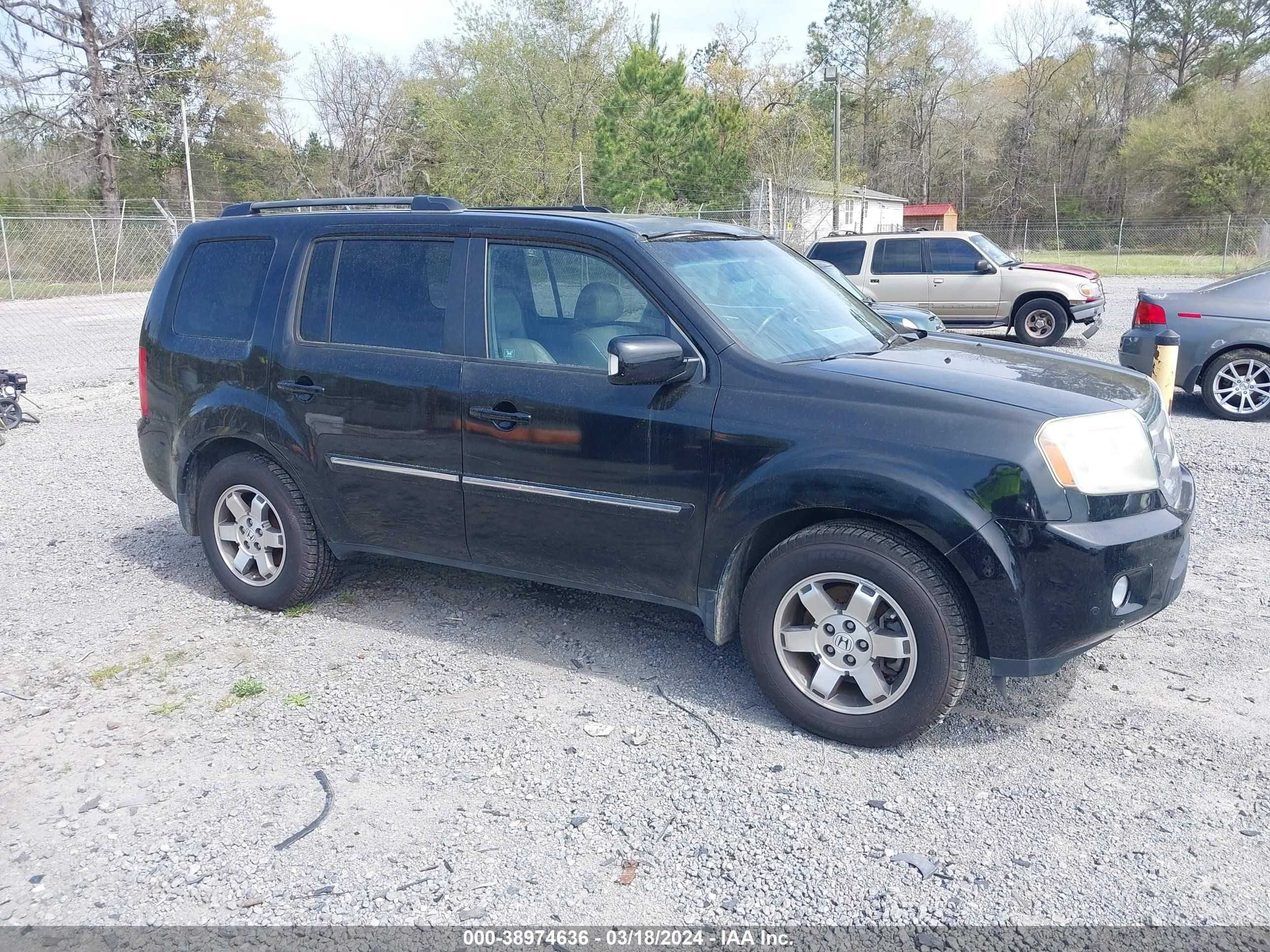 Photo 0 VIN: 5FNYF4H96BB035996 - HONDA PILOT 