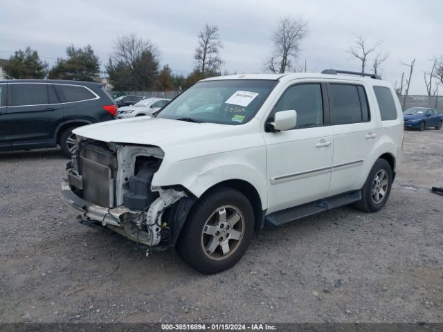 Photo 1 VIN: 5FNYF4H99BB101943 - HONDA PILOT 