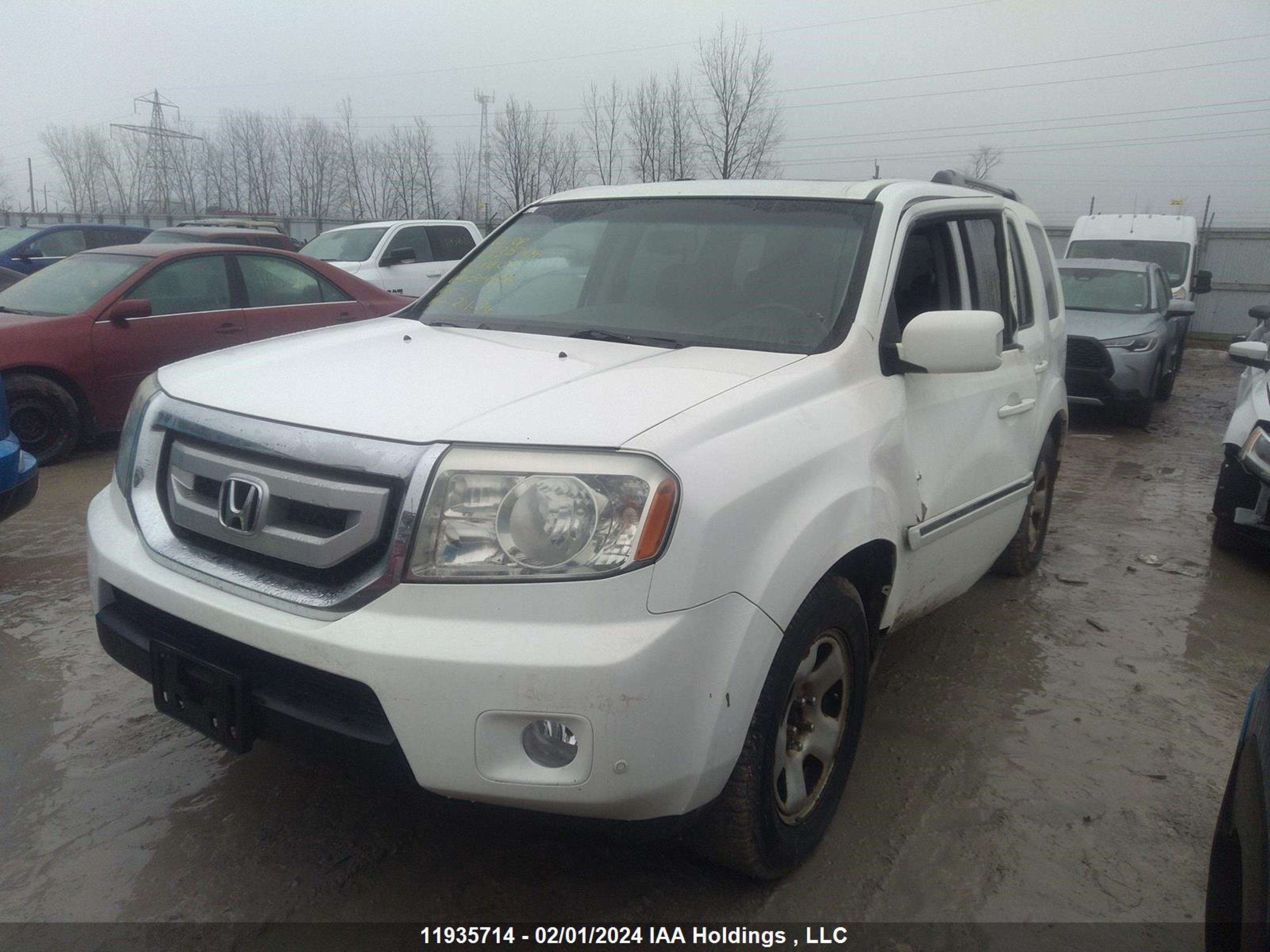 Photo 1 VIN: 5FNYF4H9XAB504330 - HONDA PILOT 