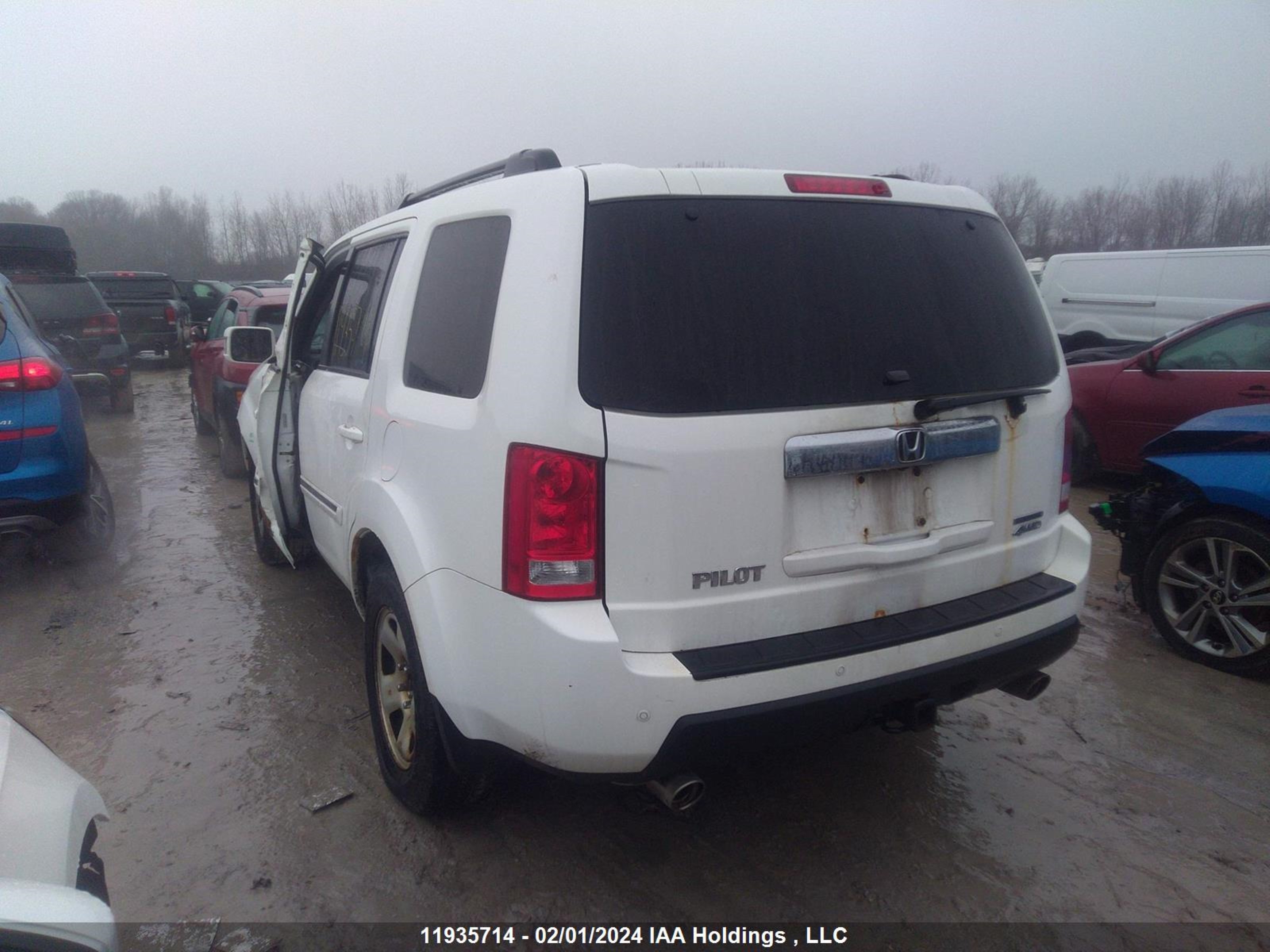 Photo 2 VIN: 5FNYF4H9XAB504330 - HONDA PILOT 