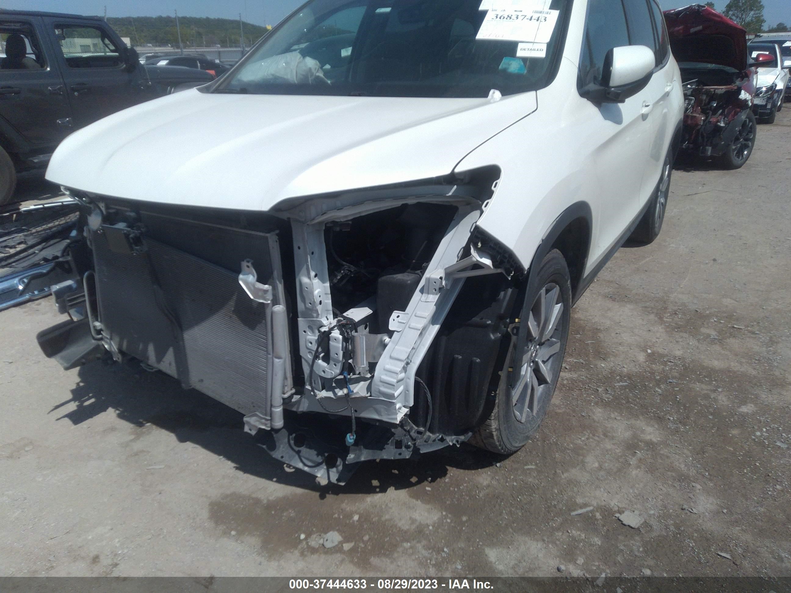 Photo 5 VIN: 5FNYF5H52KB033911 - HONDA PILOT 