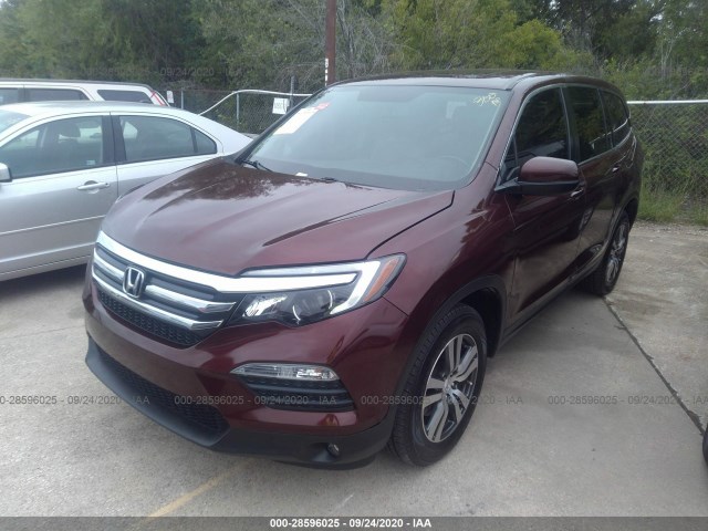 Photo 1 VIN: 5FNYF6H55GB111143 - HONDA PILOT 