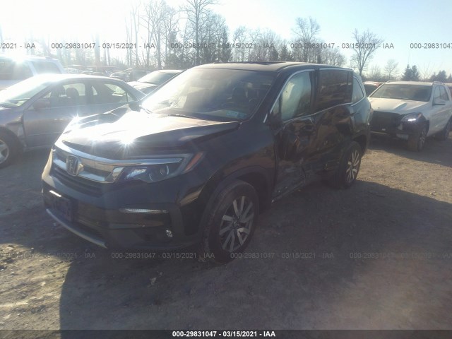 Photo 1 VIN: 5FNYF6H55KB101091 - HONDA PILOT 