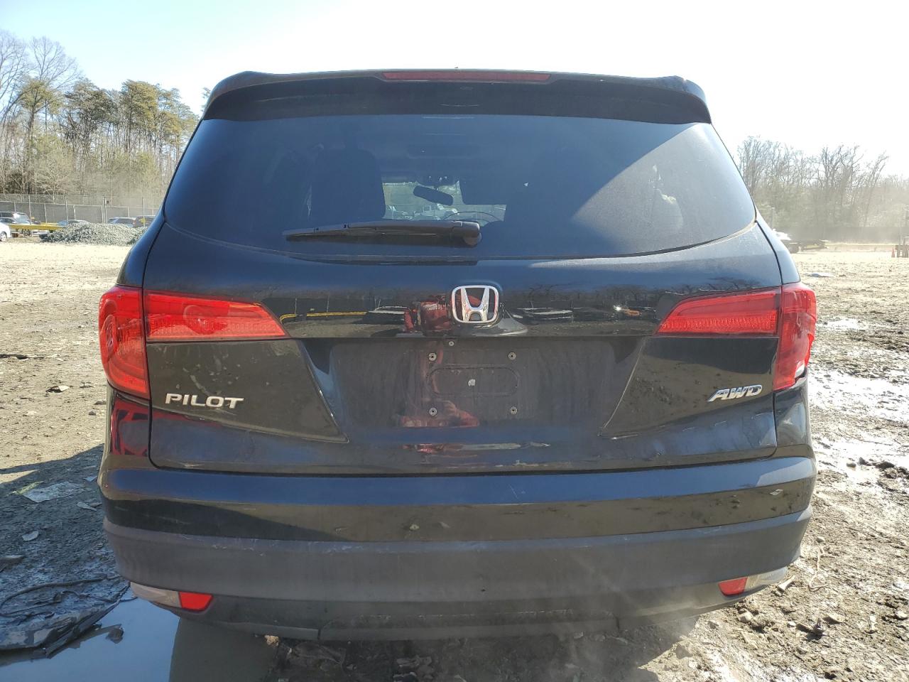 Photo 5 VIN: 5FNYF6H89GB116680 - HONDA PILOT 