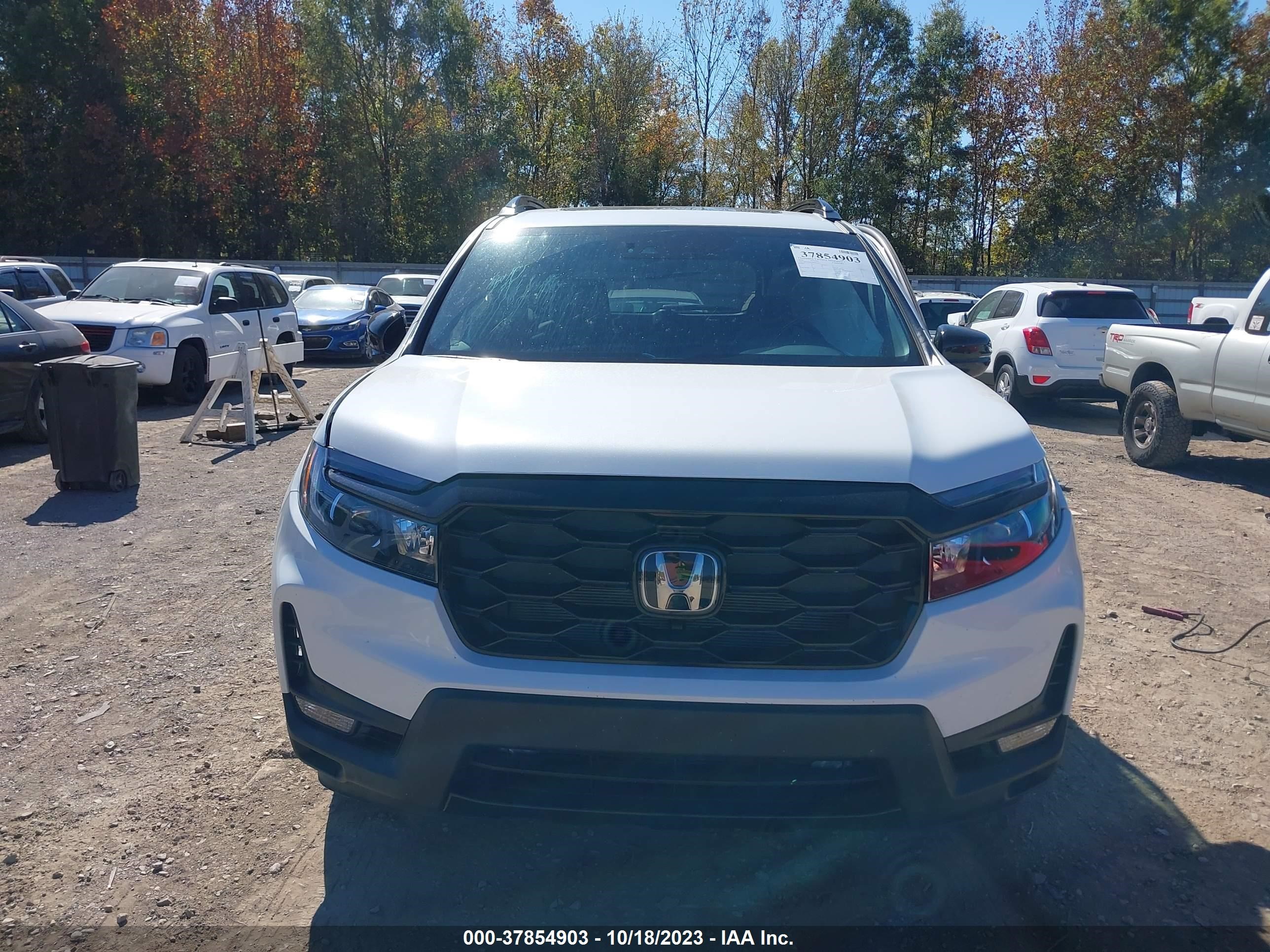 Photo 11 VIN: 5FNYF8H00PB014416 - HONDA PASSPORT 