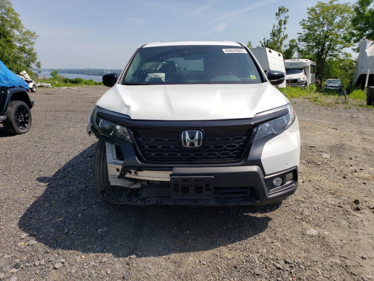 Photo 4 VIN: 5FNYF8H58LB009325 - HONDA PASSPORT 