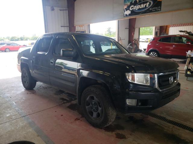 Photo 3 VIN: 5FPYK16209B105641 - HONDA RIDGELINE 