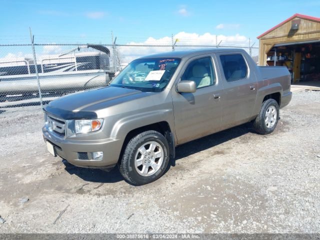 Photo 1 VIN: 5FPYK1F41BB451303 - HONDA RIDGELINE 