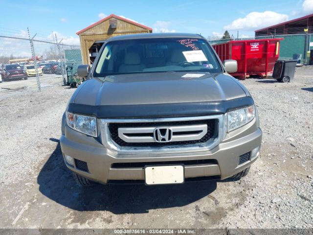 Photo 5 VIN: 5FPYK1F41BB451303 - HONDA RIDGELINE 