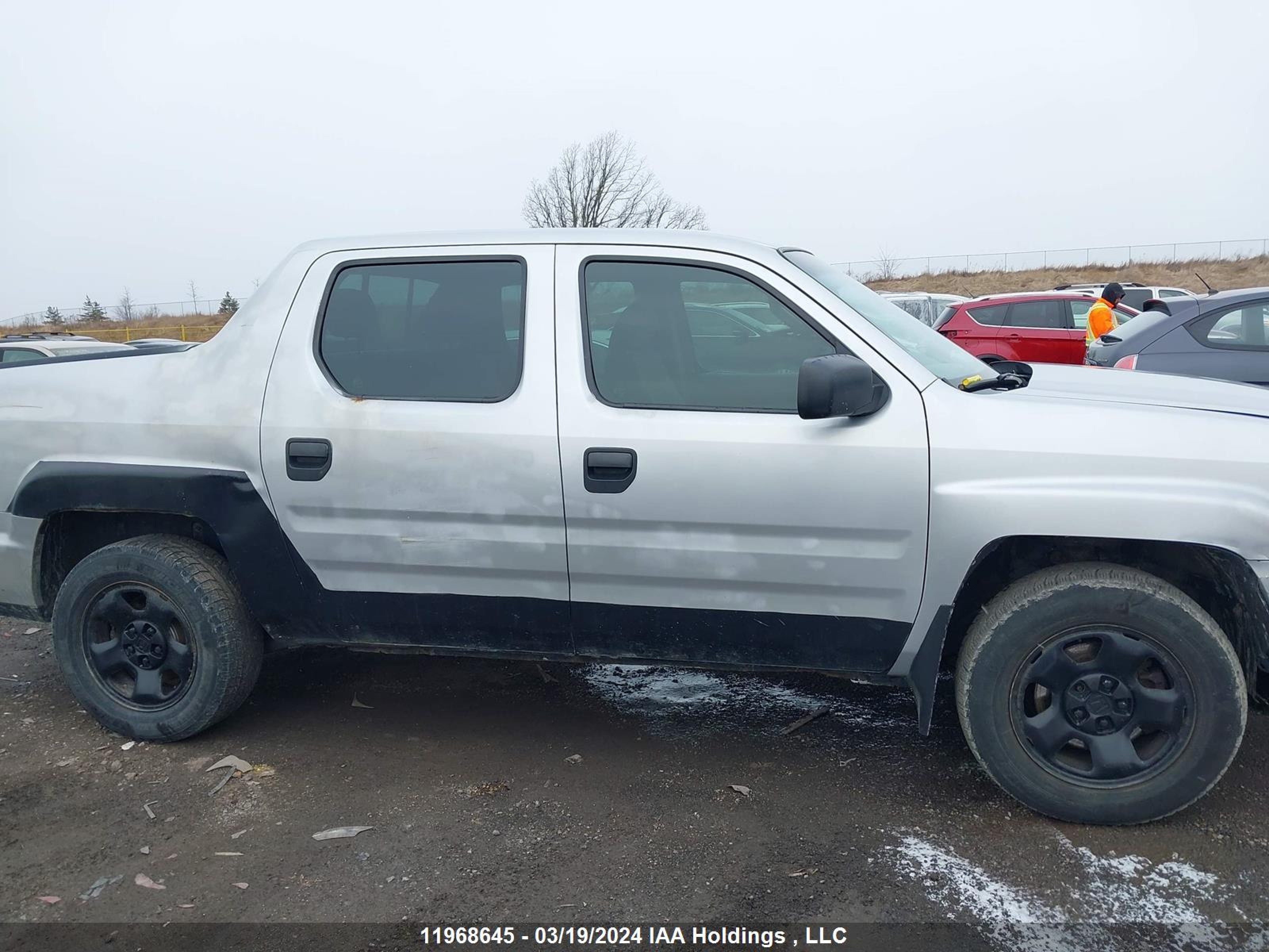 Photo 12 VIN: 5FPYK1F42BB501822 - HONDA RIDGELINE 