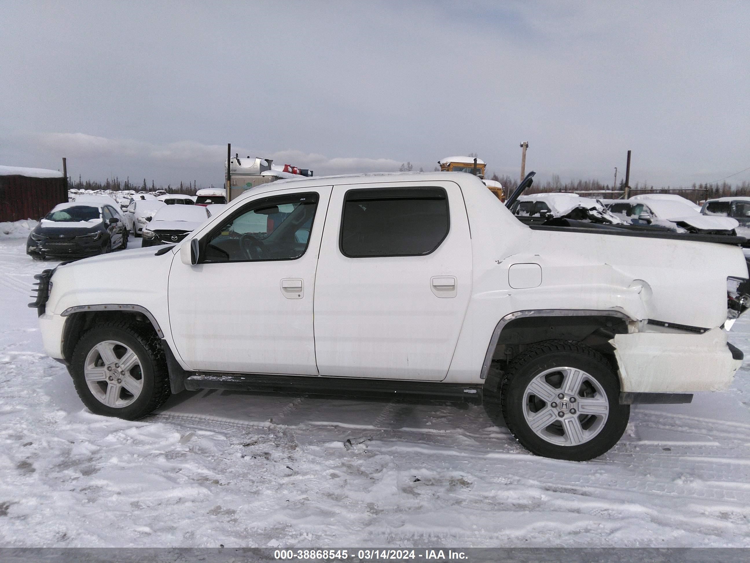 Photo 13 VIN: 5FPYK1F51EB007352 - HONDA RIDGELINE 