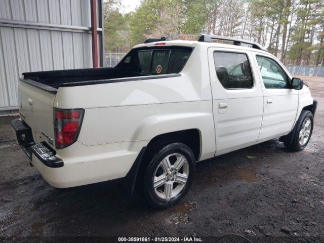 Photo 3 VIN: 5FPYK1F51EB010283 - HONDA RIDGELINE 