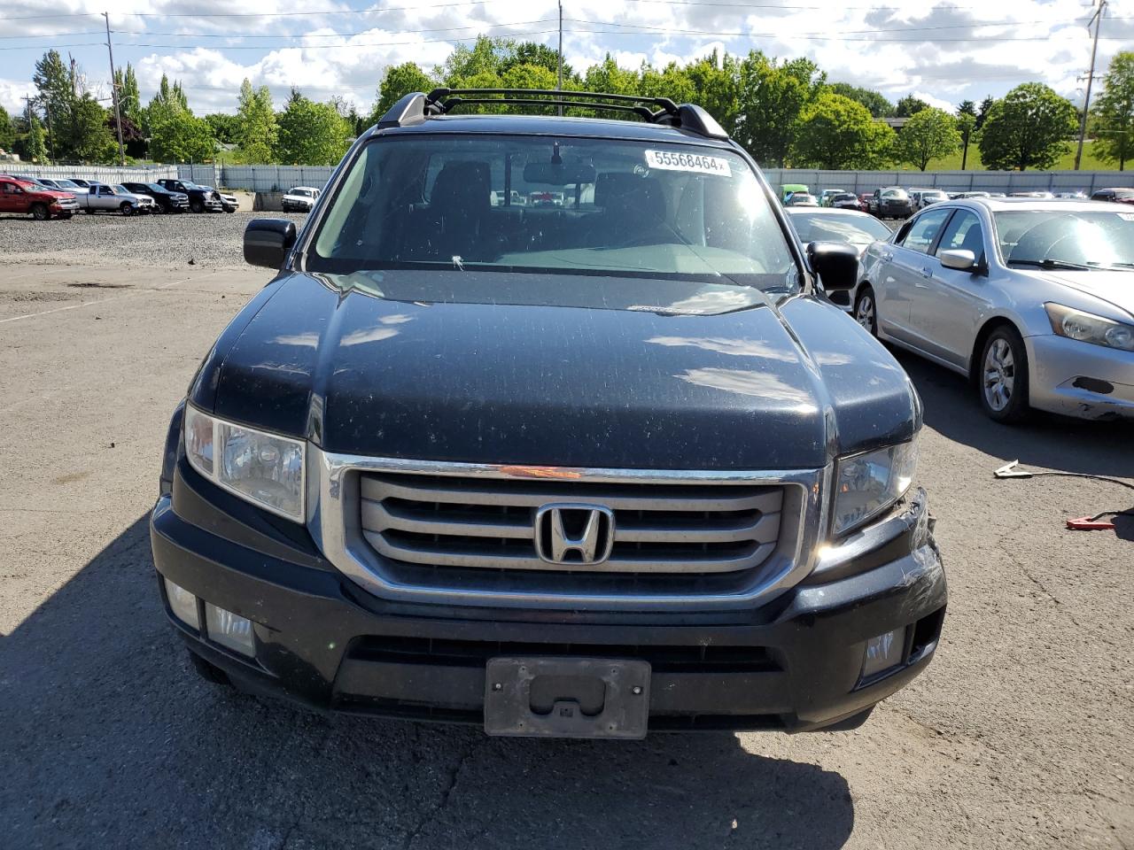 Photo 4 VIN: 5FPYK1F55DB007997 - HONDA RIDGELINE 