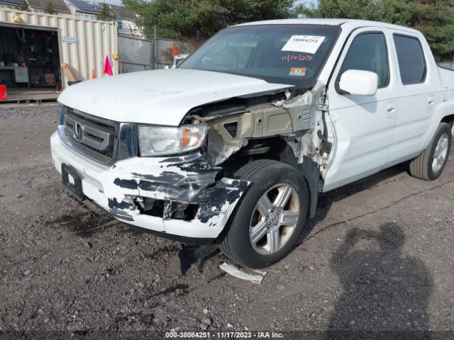 Photo 5 VIN: 5FPYK1F56BB010498 - HONDA RIDGELINE 