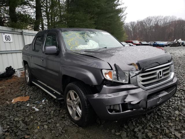 Photo 3 VIN: 5FPYK1F56EB002339 - HONDA RIDGELINE 