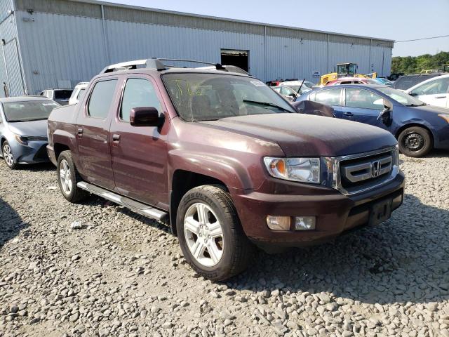 Photo 3 VIN: 5FPYK1F59AB012745 - HONDA RIDGELINE 