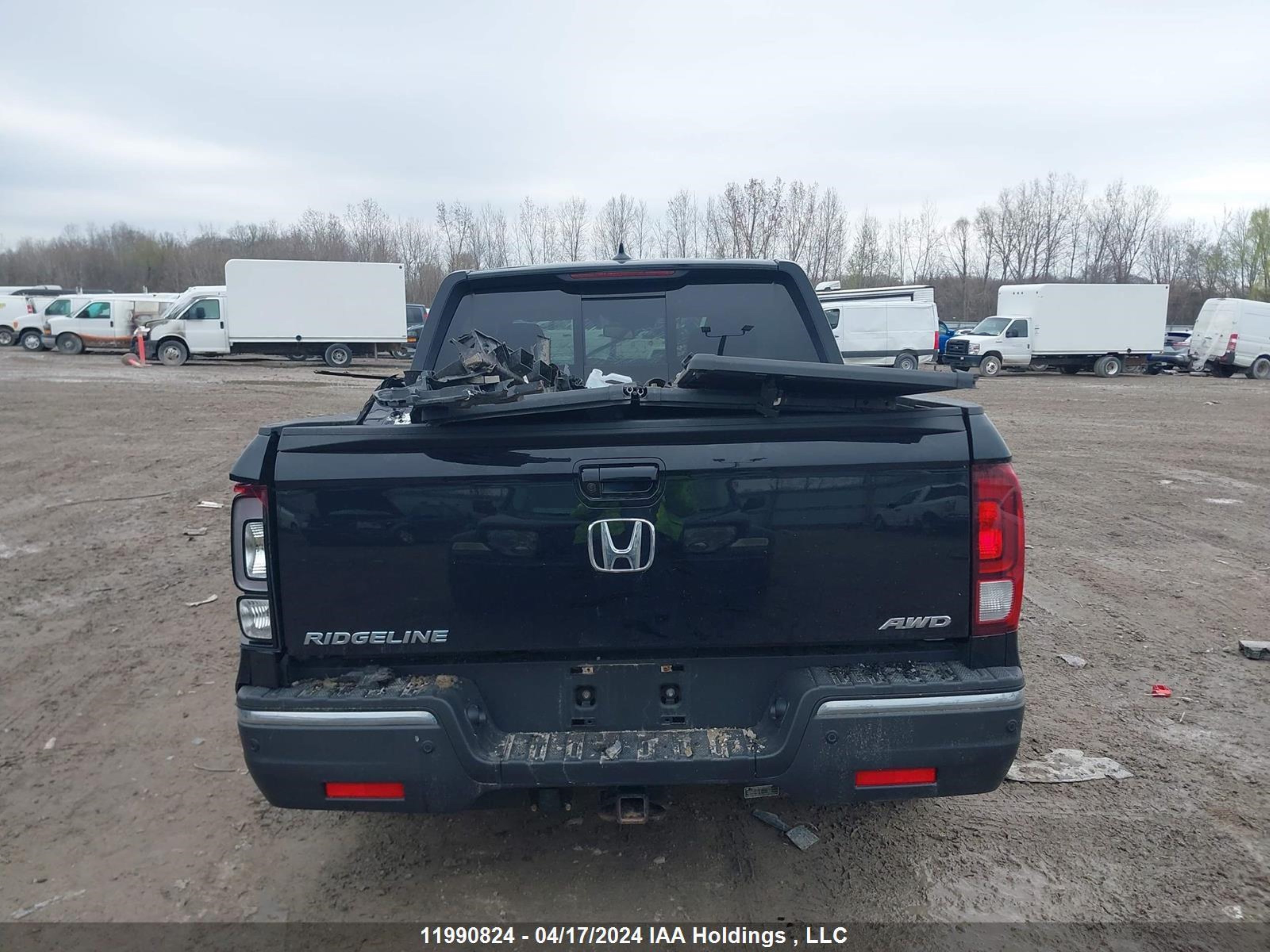 Photo 14 VIN: 5FPYK3F51KB505784 - HONDA RIDGELINE 