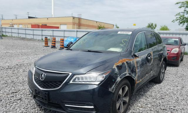 Photo 1 VIN: 5FRYD4H20EB505029 - ACURA MDX 