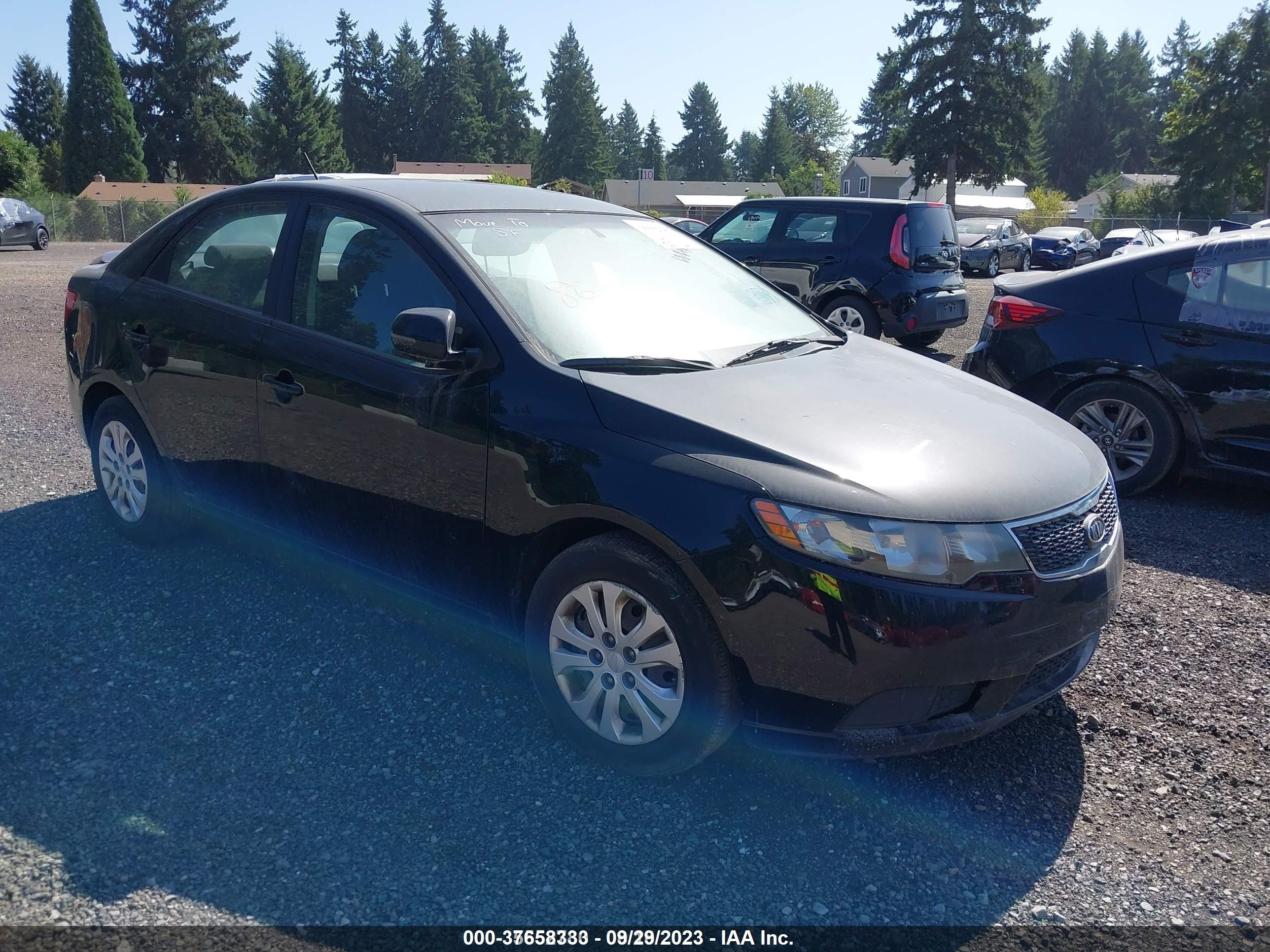 Photo 0 VIN: 5FRYD4H53HB008698 - KIA FORTE 