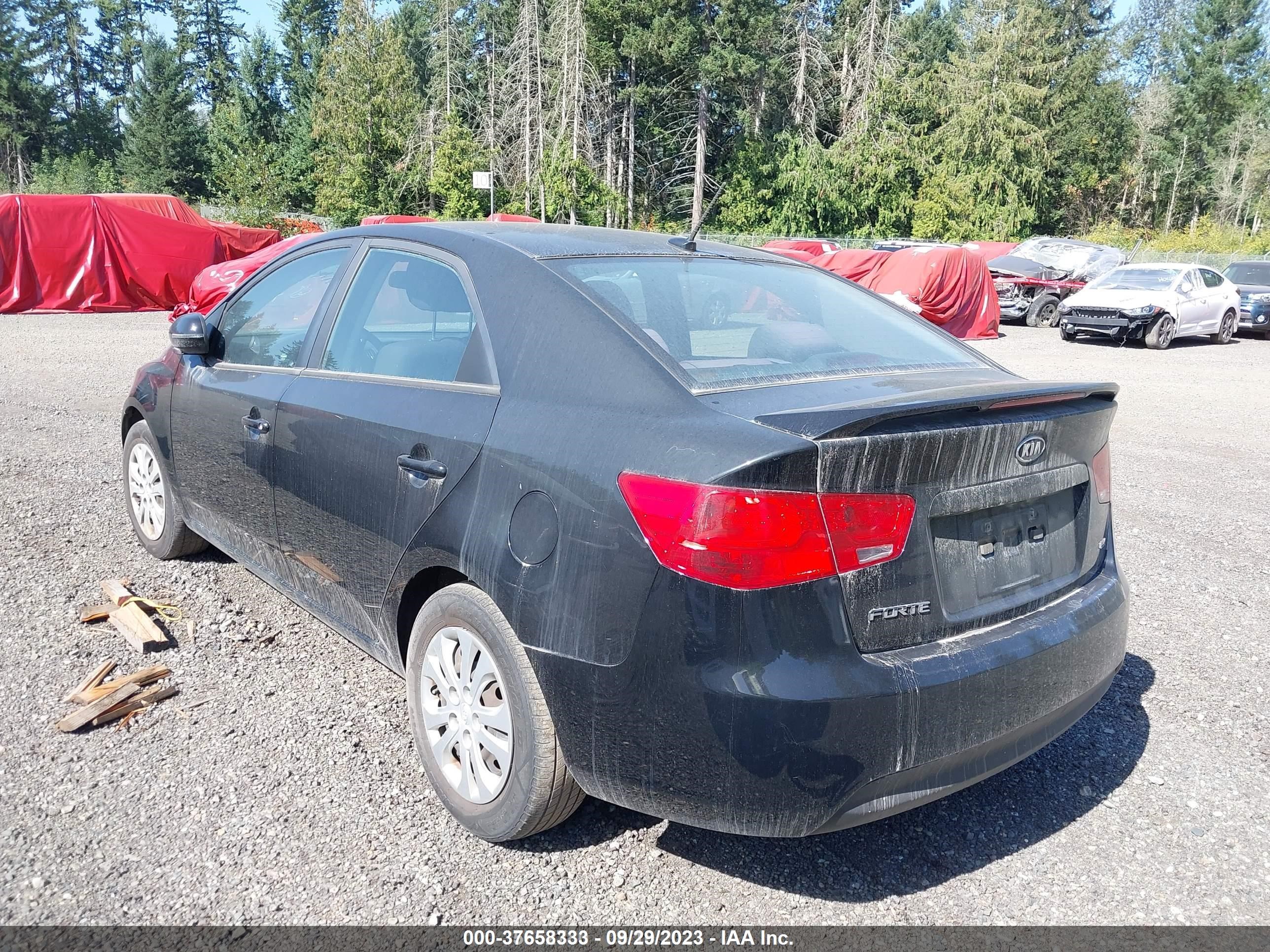 Photo 2 VIN: 5FRYD4H53HB008698 - KIA FORTE 